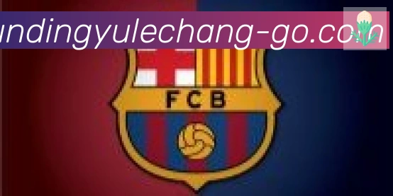 云鼎娱乐场体育合作伙伴